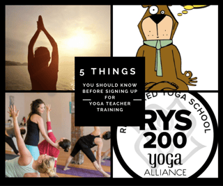 5 things you should know before yoga teacher training.png