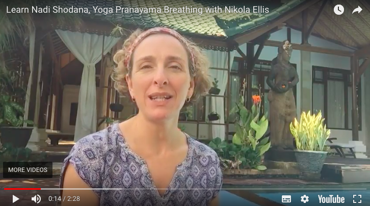 Nadi Shodana yoga pranayama practice